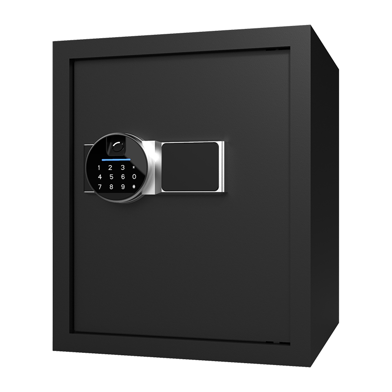 BS0142 40L Biometrisk hjemmesafe