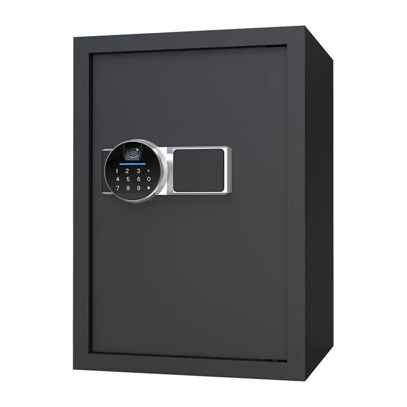 BS0150 48L Biometrisk hjemmesafe